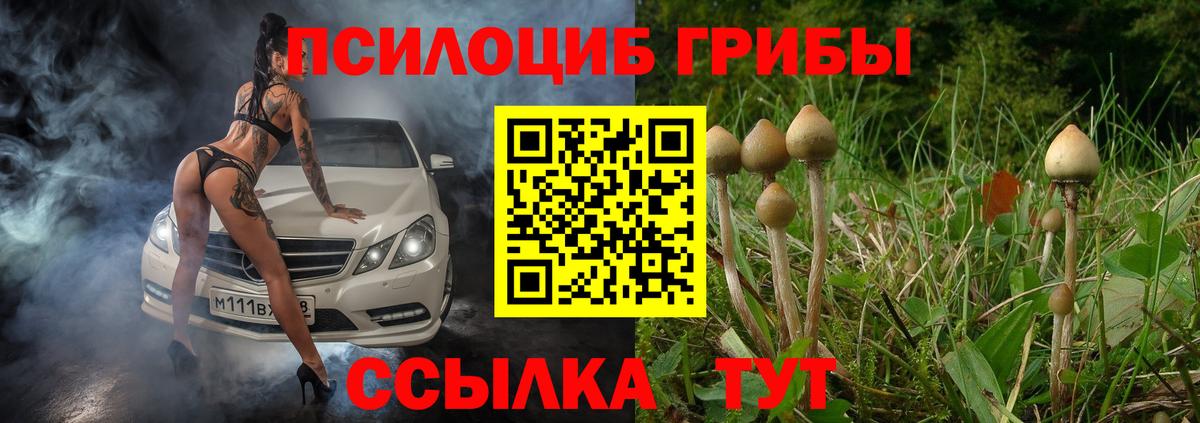 Псилоцибиновые грибы GOLDEN TEACHER Лиски